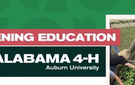 Alabama 4-H at Auburn University Gardening Education